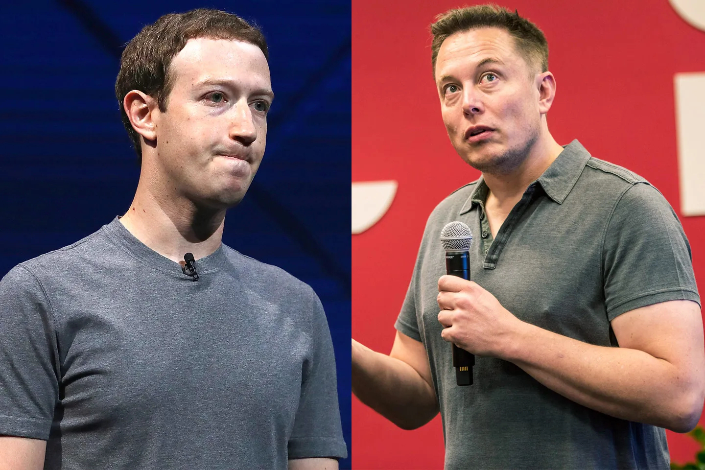 Say What Now? Mark Zuckerberg Is Ready to Fight Elon Musk in a Cage Match: ‘Send Me Location’