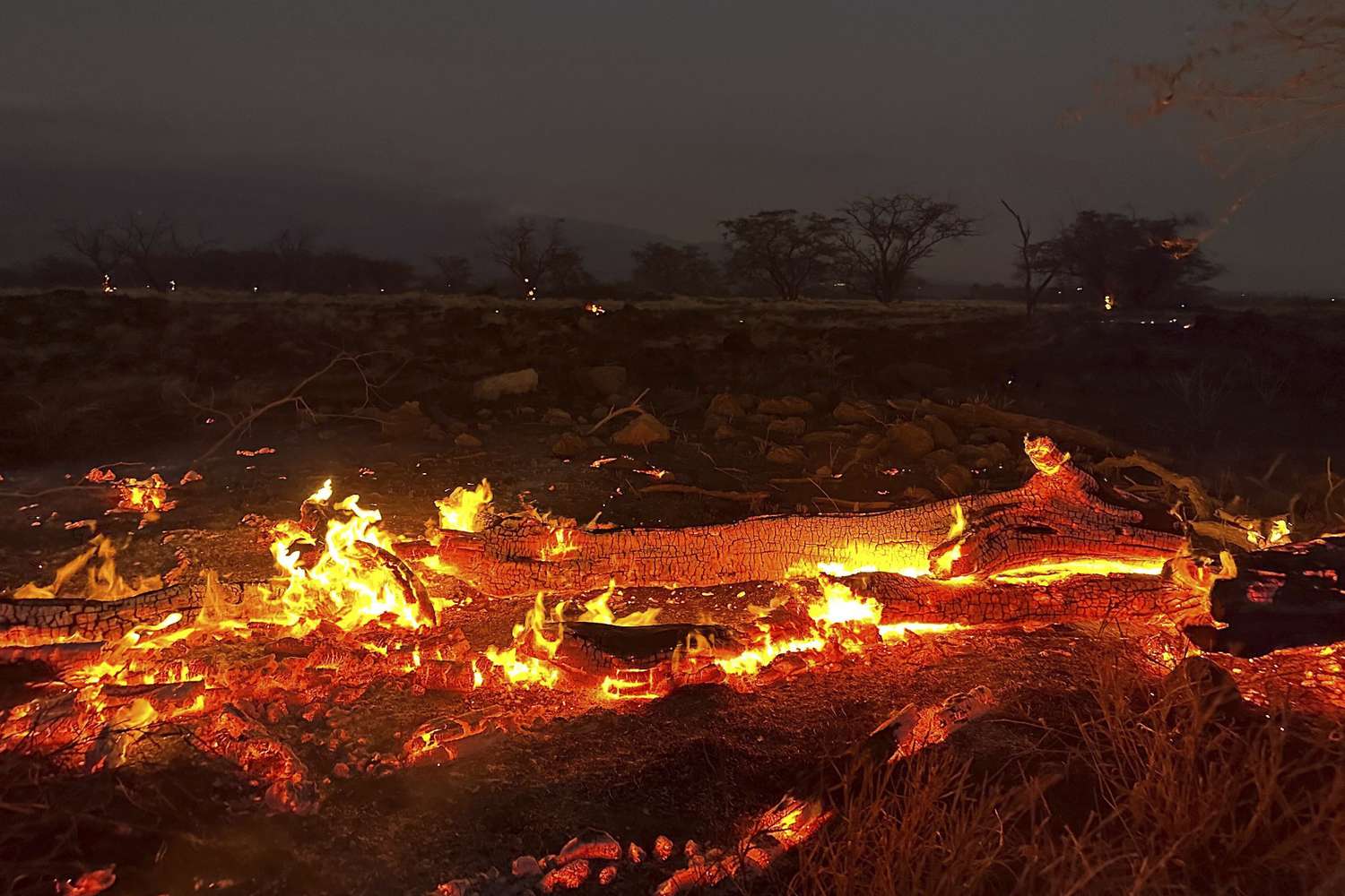 Hawaii Wildfires: Deadliest US Blaze in a Century Kills at Least 93 People