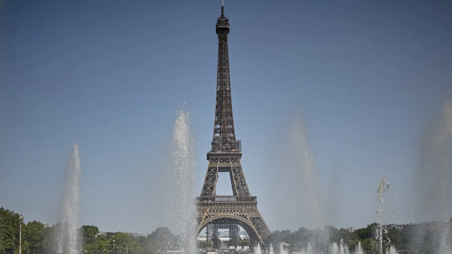 Paris Battles Bedbugs Ahead of 2024 Summer Olympics