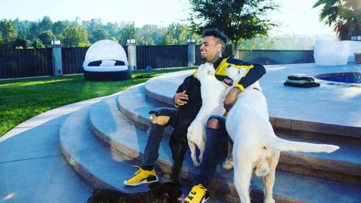 Chris Brown Refusing to Sit For Deposition in $71 Million Battle With  Ex-Housekeeper Over Dog Attack | lovebscott.com