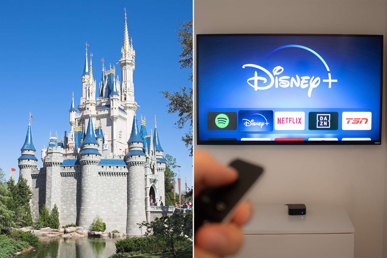 Say What Now? Family Purchases $10,000 in Gift Cards for Disney Vacation, Only to Realize They’re for Disney+