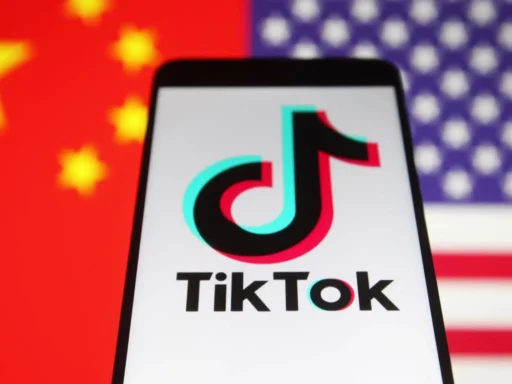 Chris Brown Tells Fans to 'Leave My F*cking Name' Out of Tory Lanez and