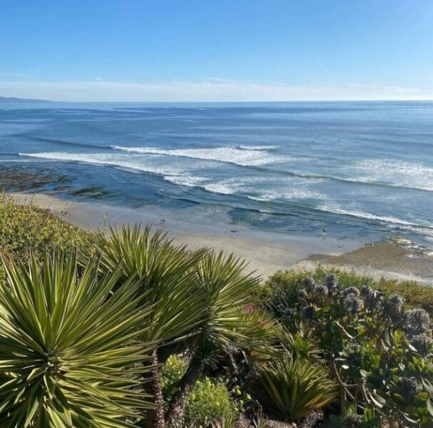 beach front in the city of San Diego