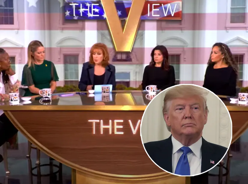 How The View Reacted to Donald Trump’s Election Win: ‘Profoundly Disturbed’ [Video]
