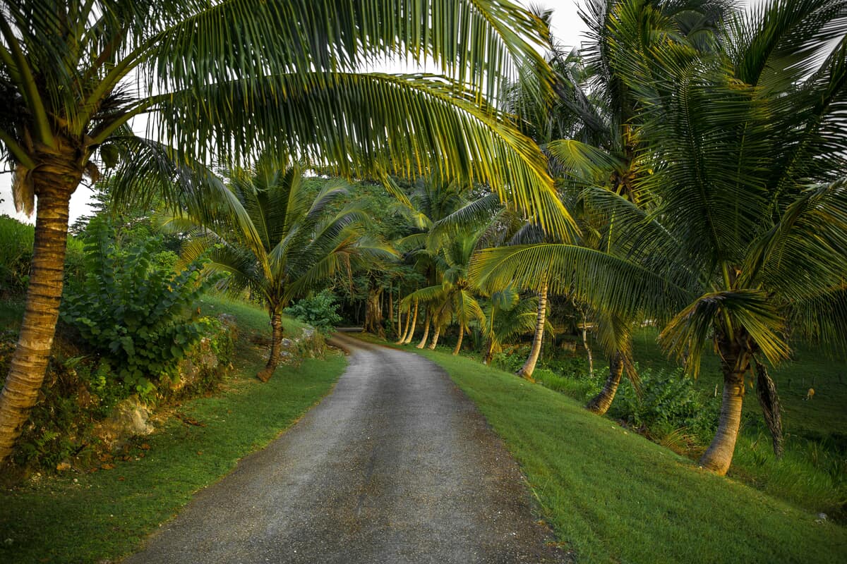 Jamaica credit: pexels