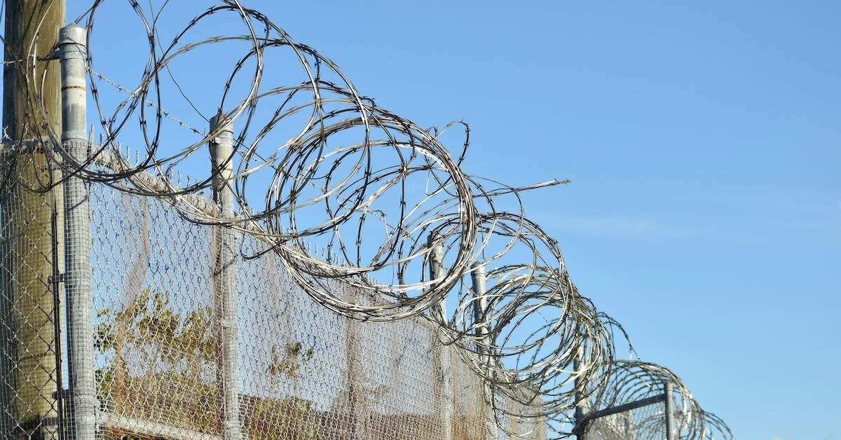 A barbed wire fence. 