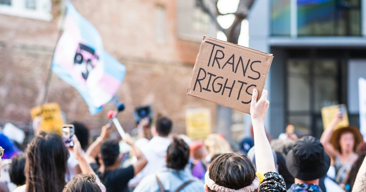 A person holding up a sign that reads "TRANS RIGHTS."