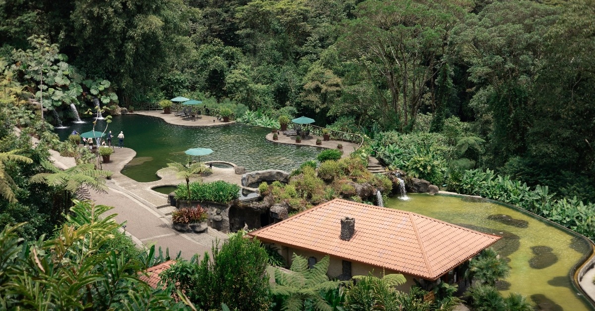Costa Rico rainforest