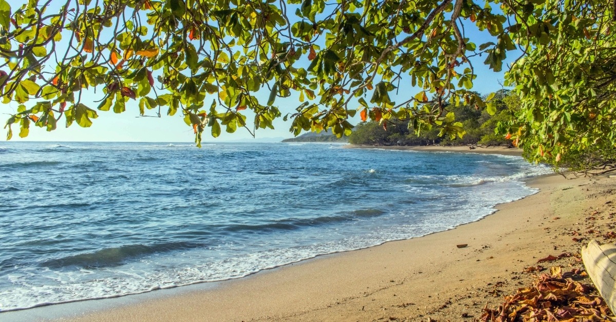 beautiful beach view in Costa Rica