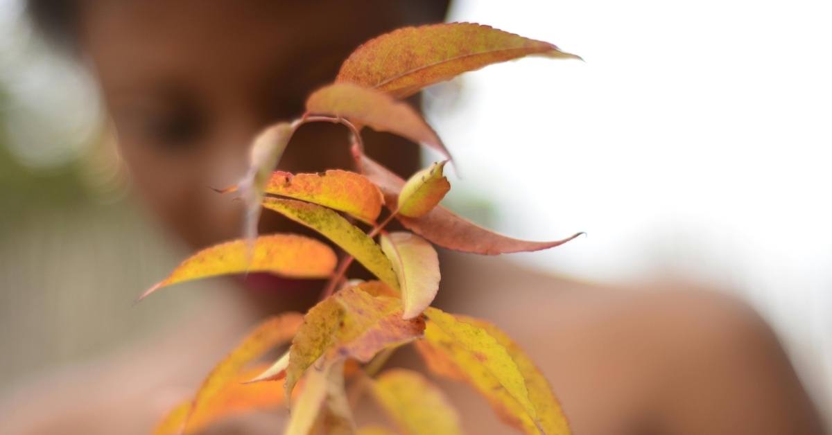 Black woman holding leaf that is turning golden brown