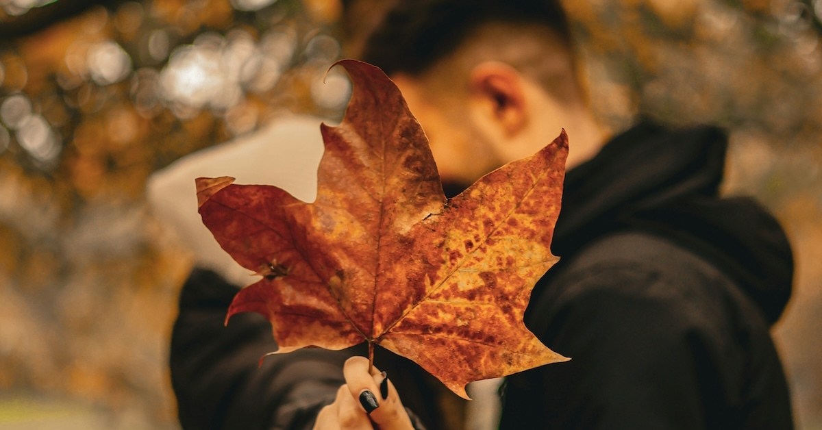 Two people holding out a leaf.