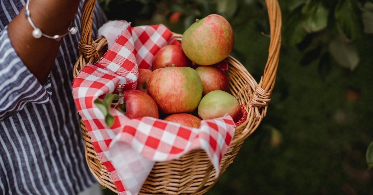 close up of apples in basket