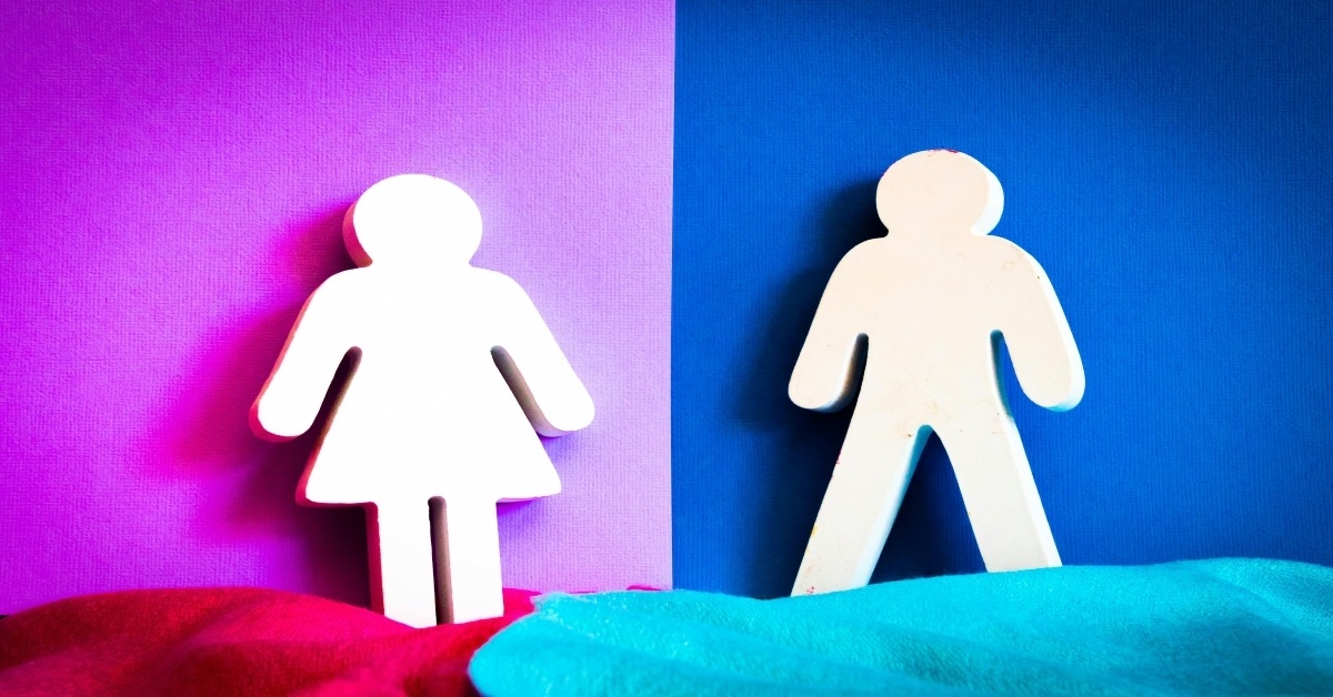 A boy and girl silhouette figure against a split pink and blue backdrop.