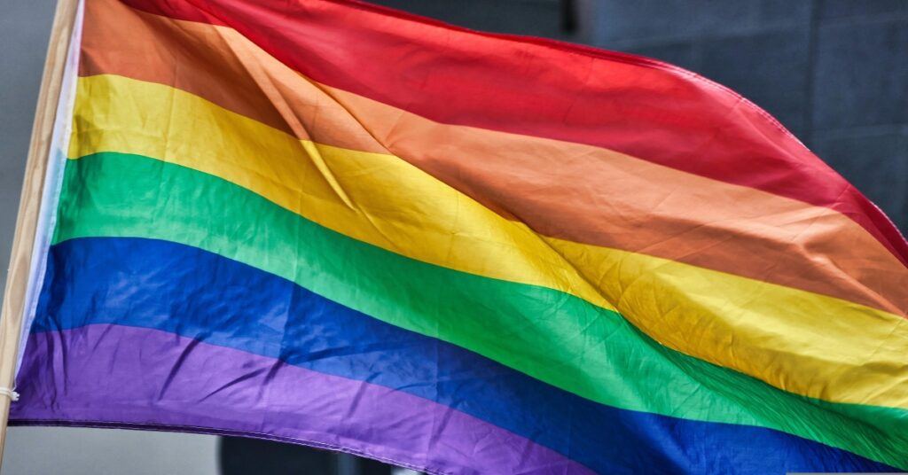 A picture of the LGBTQIA+ rainbow flag.