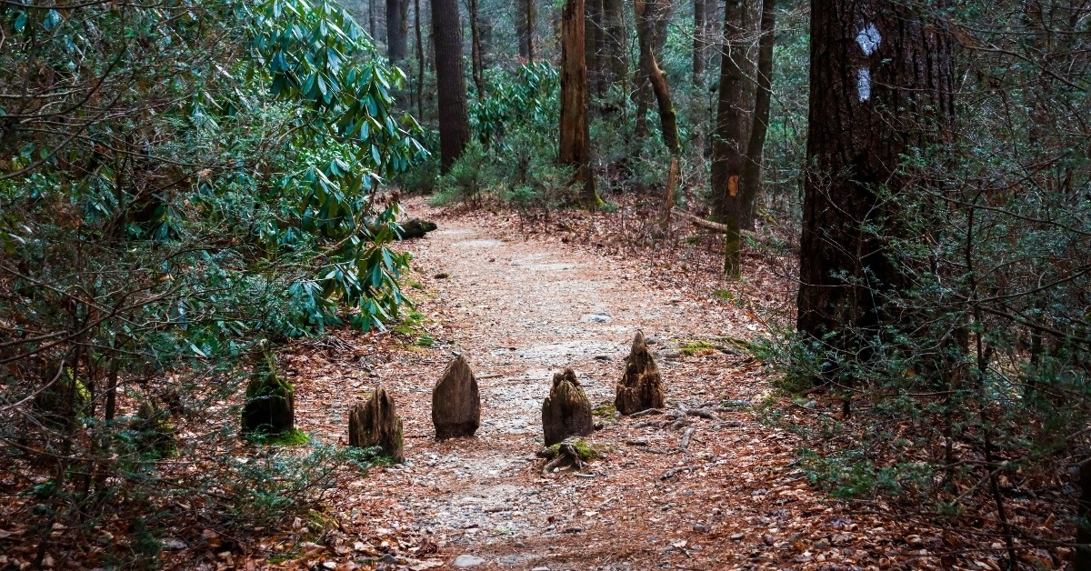 The Appalachian Trail
