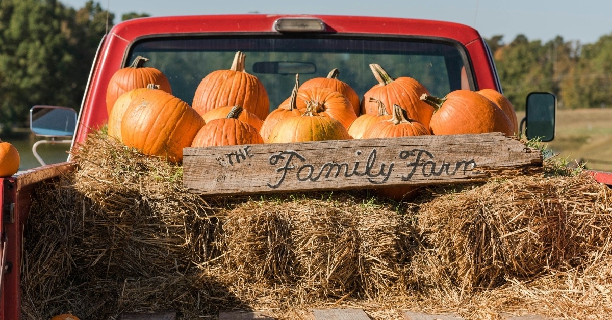 red pickup with bales of hay and pumpkins
