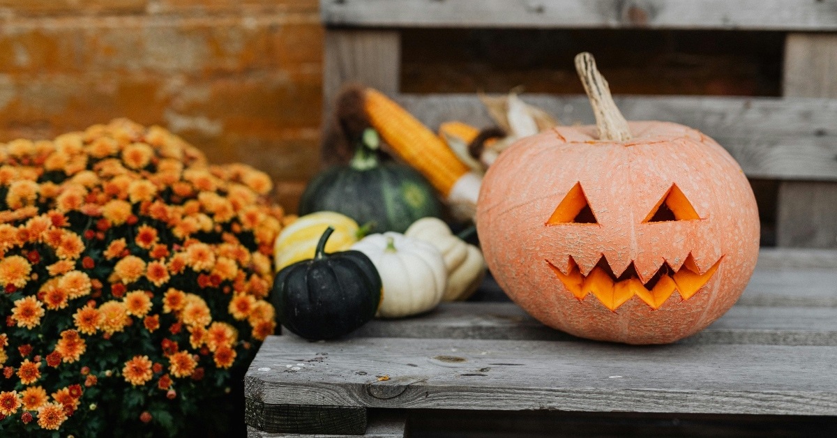 Jack O Lantern on a Wooden Bench