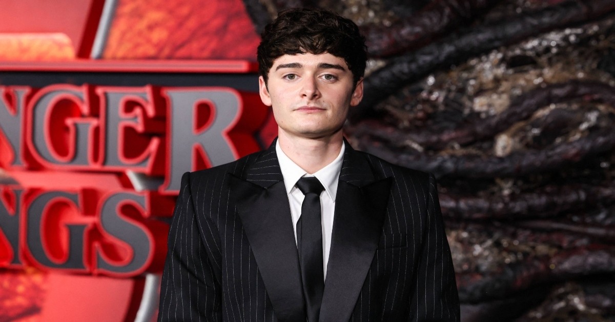 Will Byers' Sexuality 'Stranger Things' Season 5