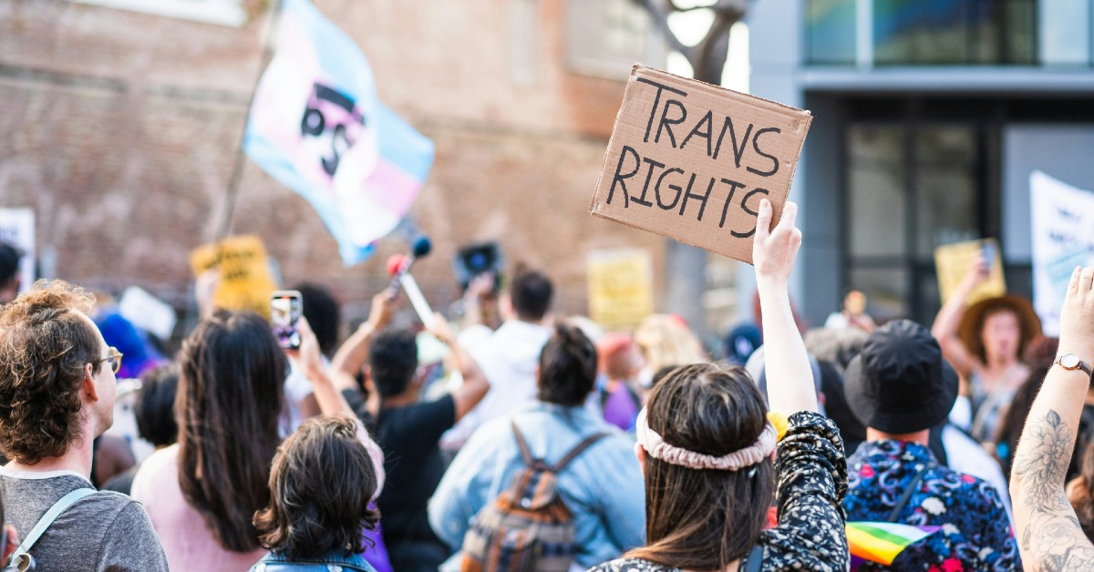 Person holding up "TRANS RIGHTS" sign at a protest