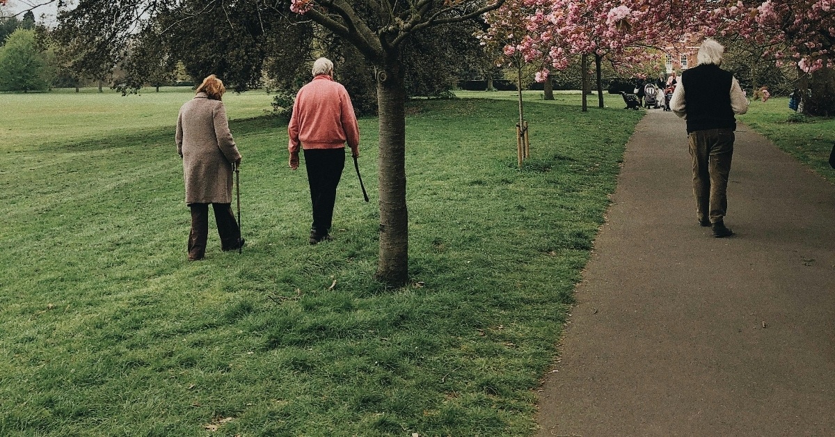 This is a photo of elderly people walking in the park.